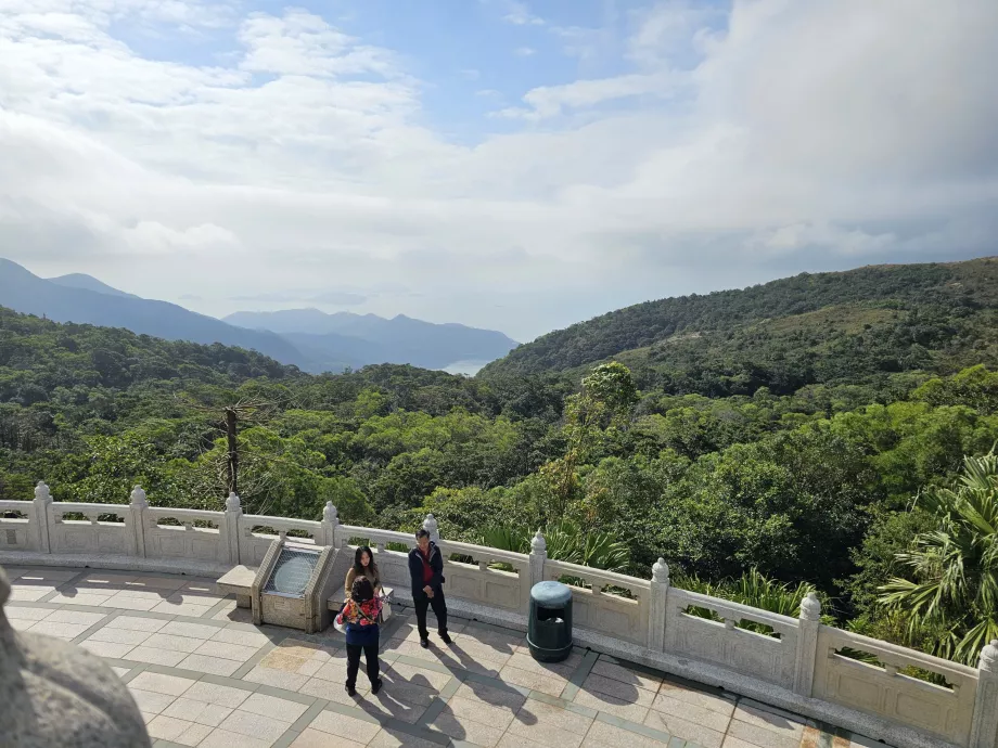 Lantau salos miškų vaizdas