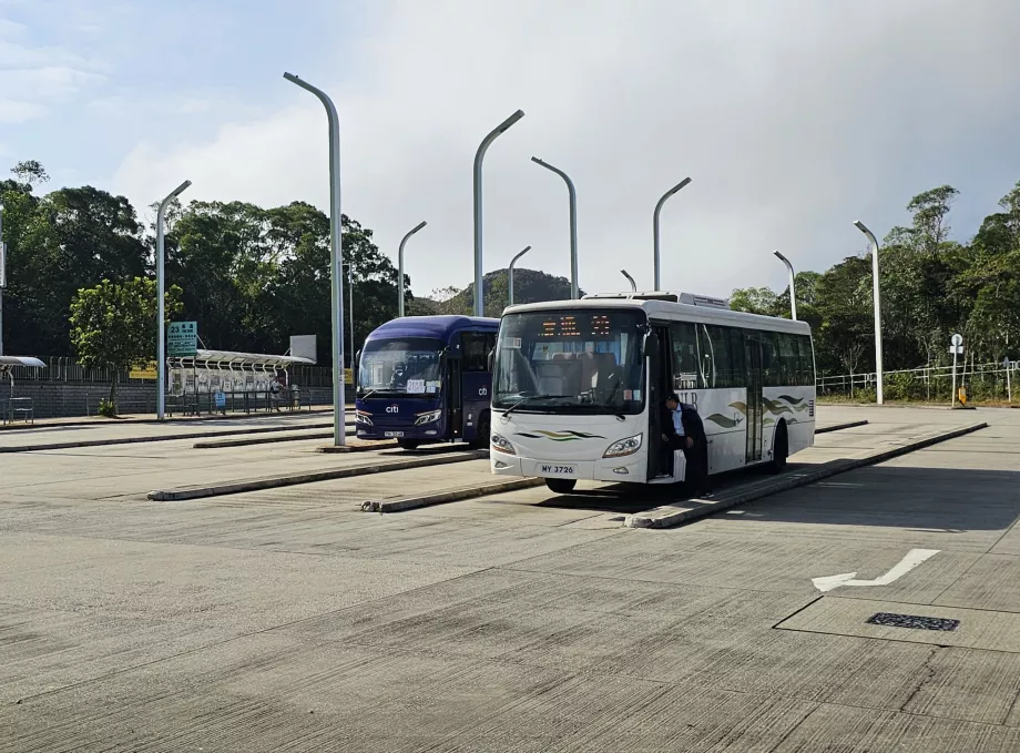 Autobusai į Ngong Ping