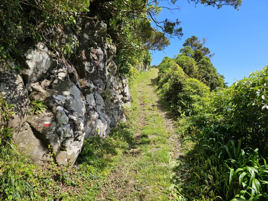 Ženklas ant uolos, trilho Ponta Ruiva-Cedros