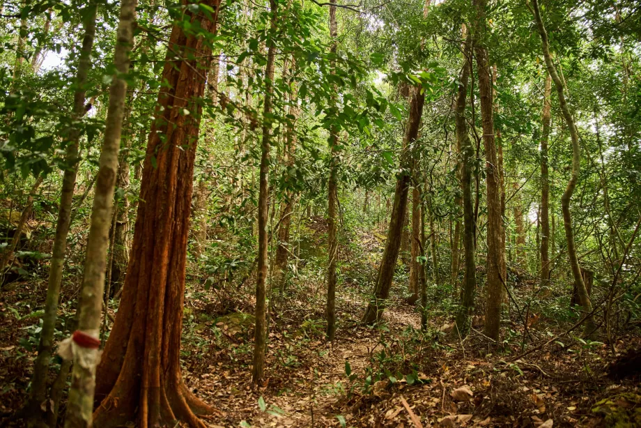 Nacionalinis parkas, Phu Quoc, Vietnamas