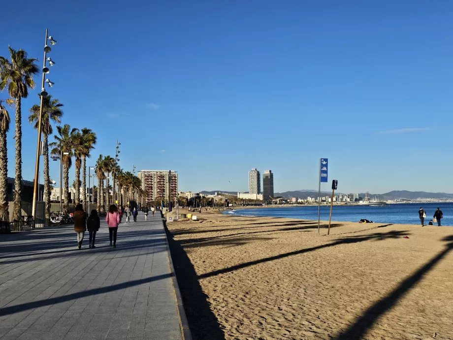 Barceloneta paplūdimys