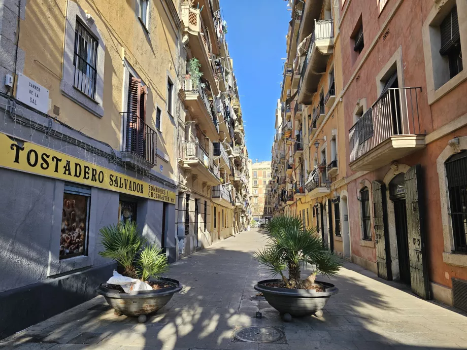 Barceloneta rajonas