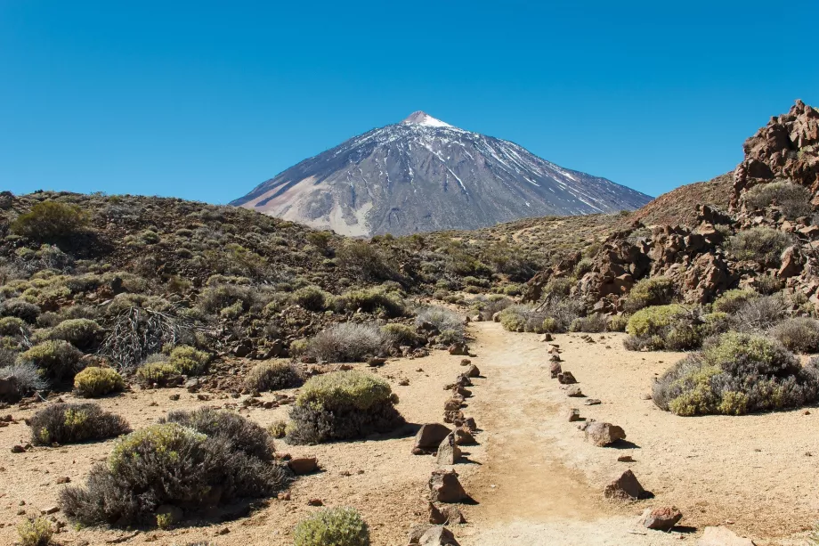 Kelias į Pico del Teide