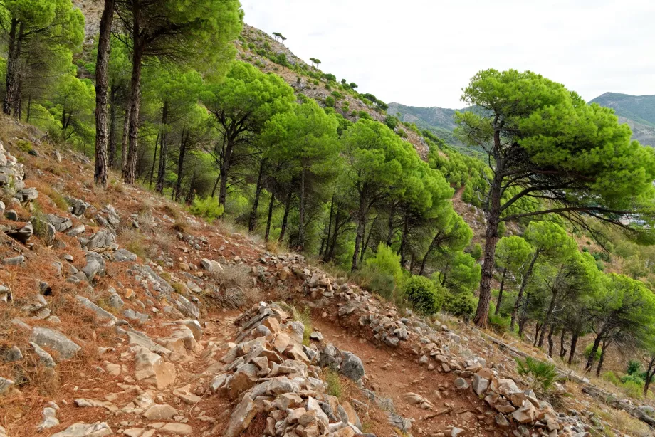 Siera de Mijas