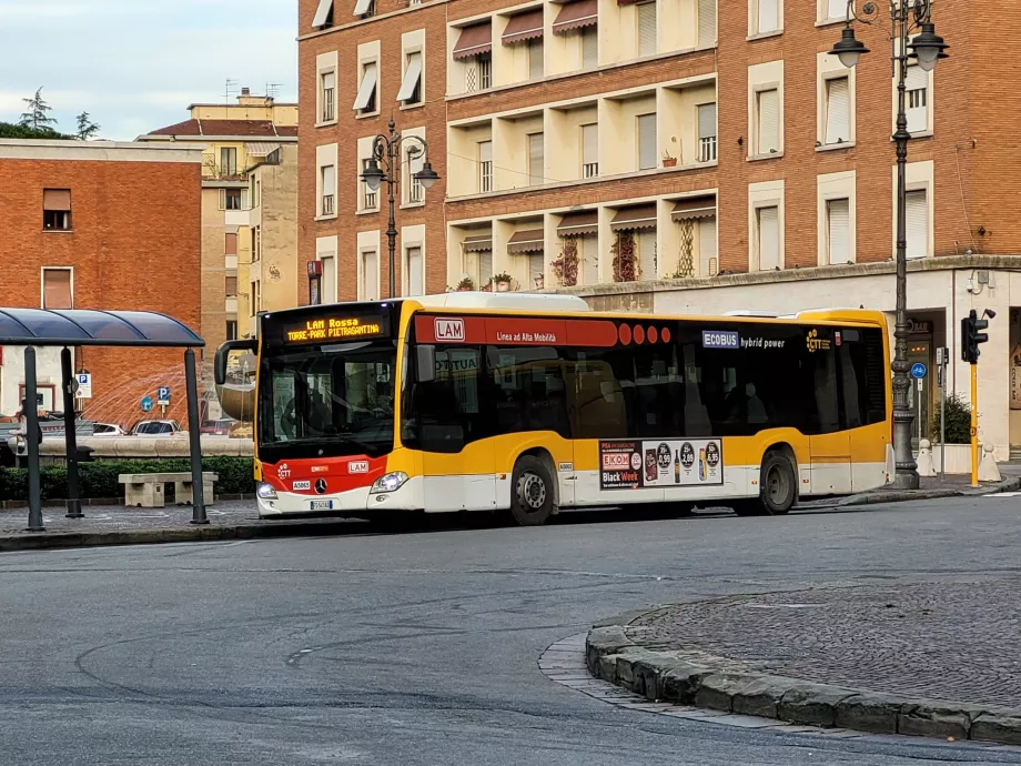 Autobusų linijos LAM Rossa