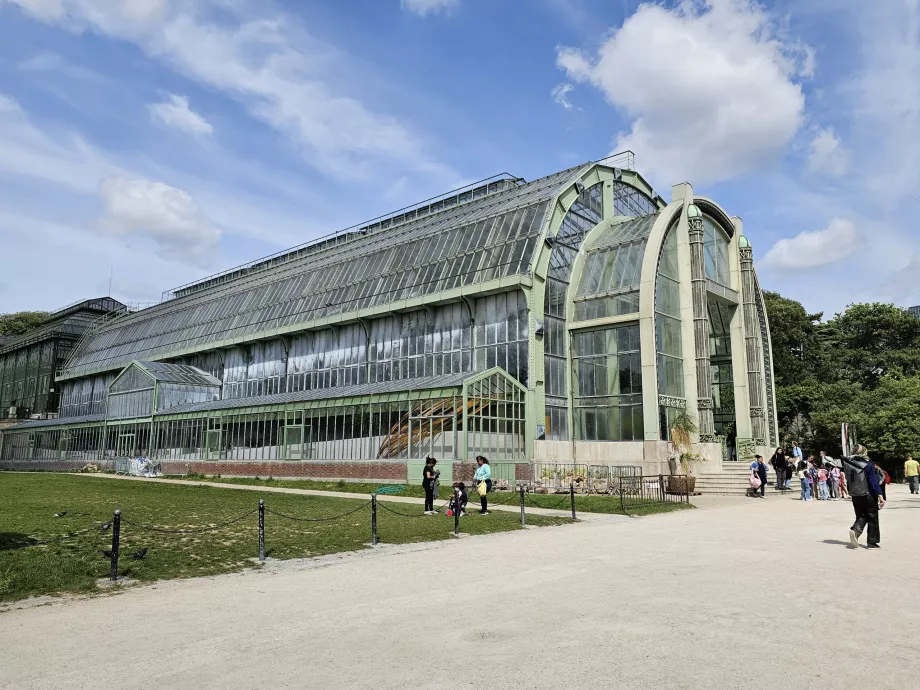 Jardin des Plantes šiltnamis