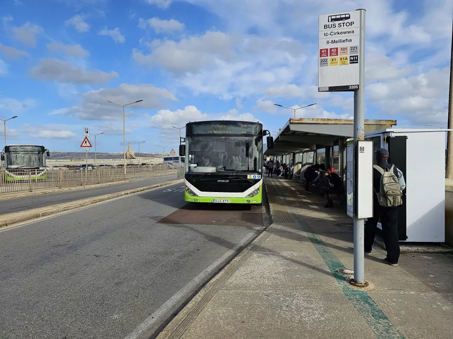 Autobusų stotelės Cirkewwa doke